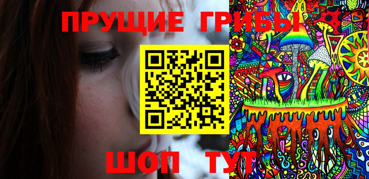 Псилоцибиновые грибы Psilocybine cubensis Нерюнгри