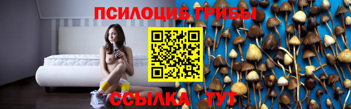 Галлюциногенные грибы ЛСД  Вход с VPN  Нерюнгри 